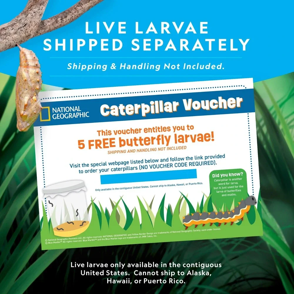 National Geographic Butterfly Growing Kit Feed & Grow‎ Real Caterpillars Habitat